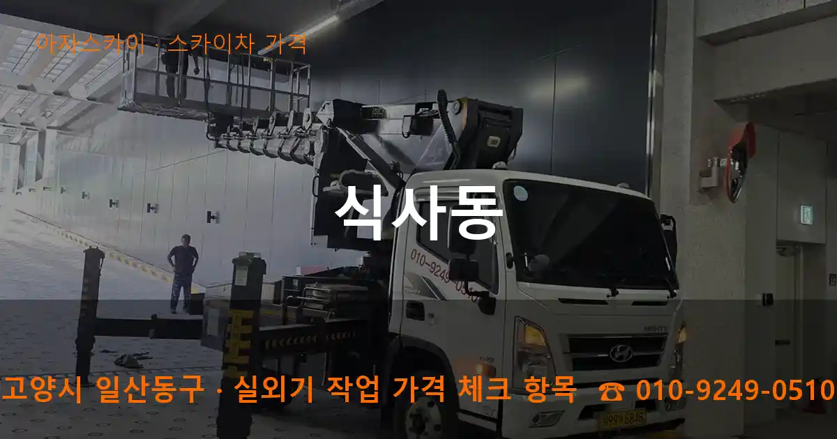 고양시 일산동구 식사동 스카이차 가격 작업