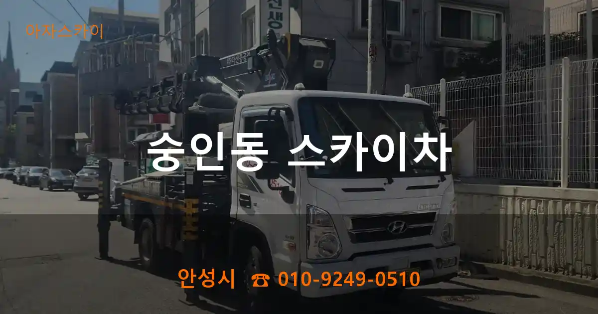 안성시 숭인동 스카이차