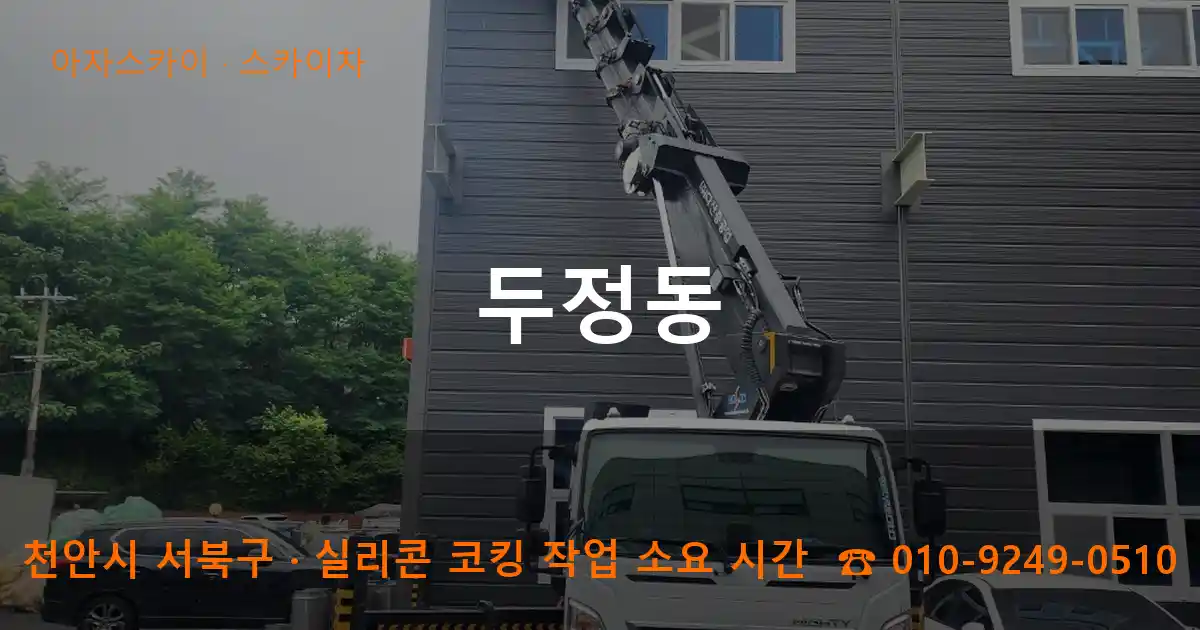 천안시 서북구 두정동 스카이차 작업