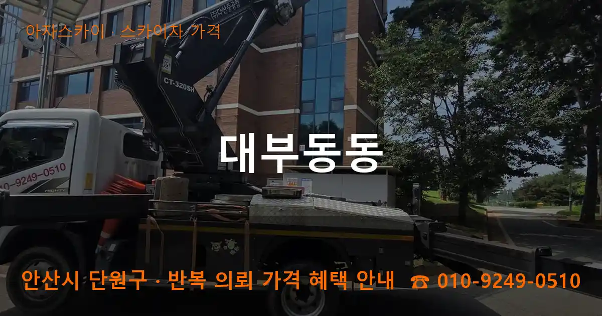 안산 단원구 대부동동 스카이차 가격 작업