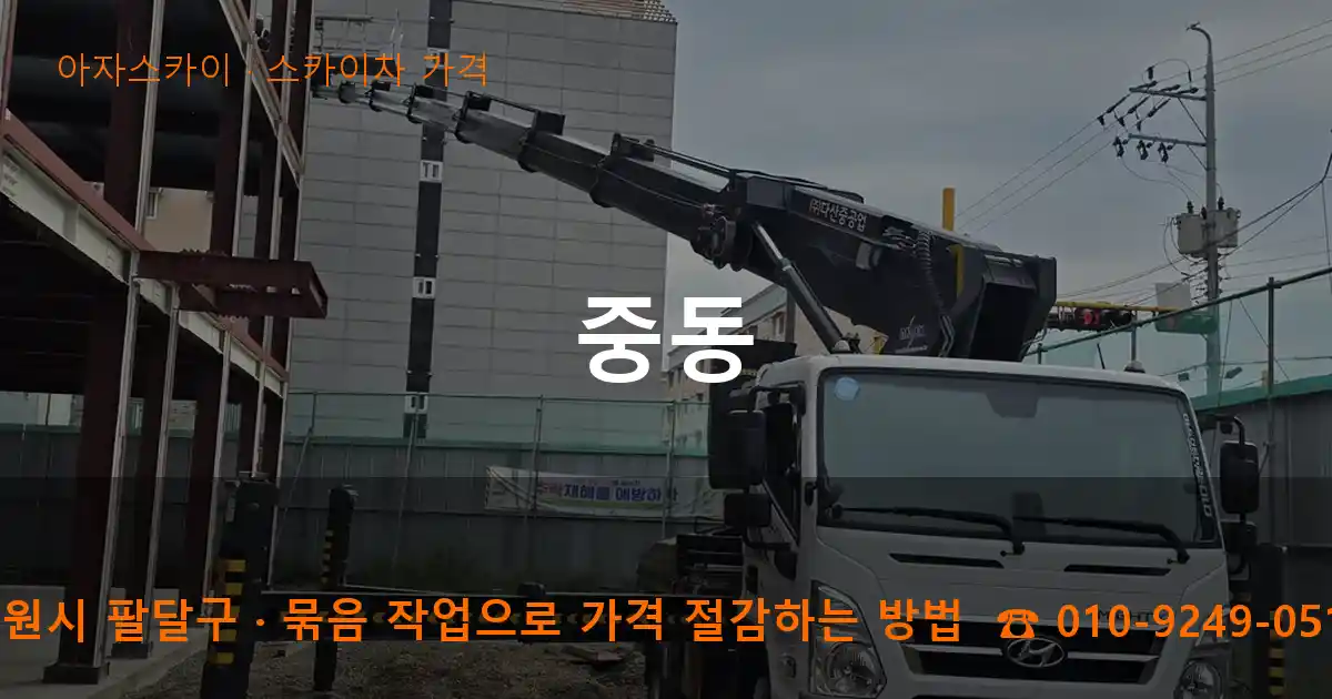 수원시 팔달구 중동 스카이차 가격 작업