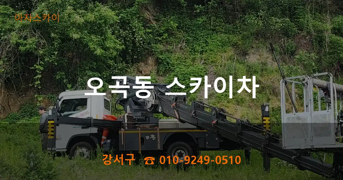 강서구 오곡동 스카이차