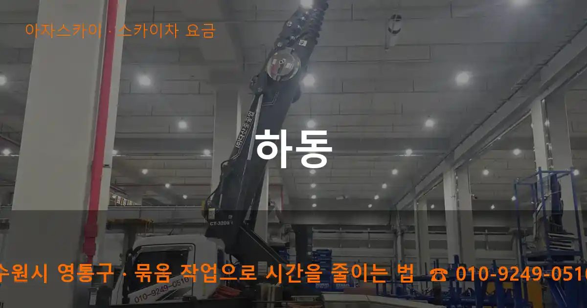 수원시 영통구 하동 스카이차 요금 작업