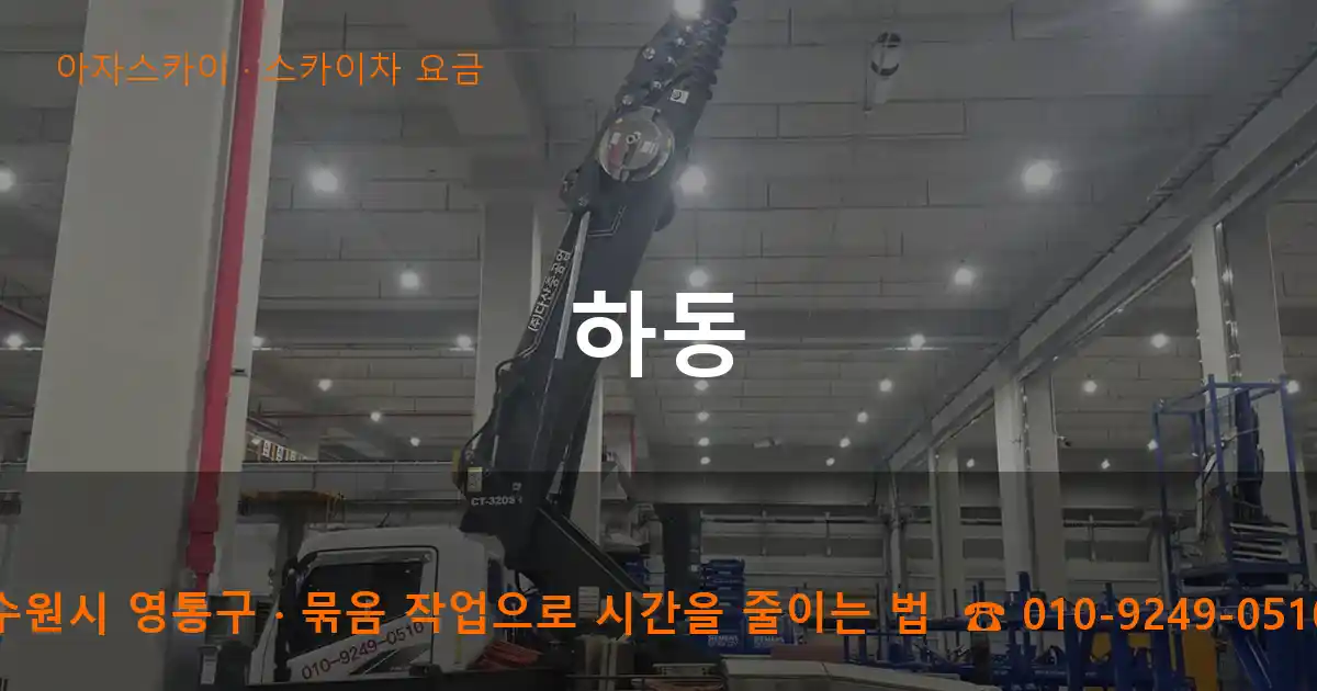 수원시 영통구 하동 스카이차 요금 작업