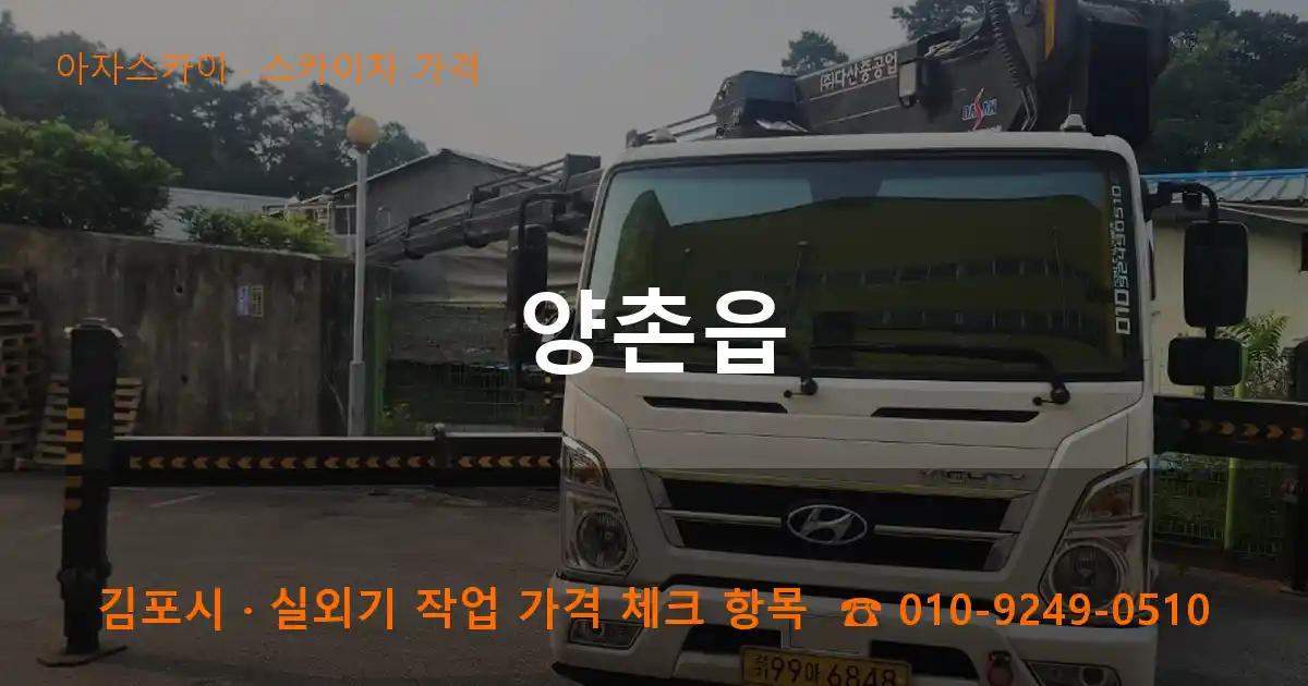 김포시 양촌읍 스카이차 가격 작업