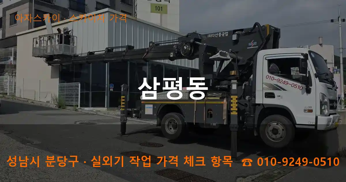 성남시 분당구 삼평동 스카이차 가격 작업