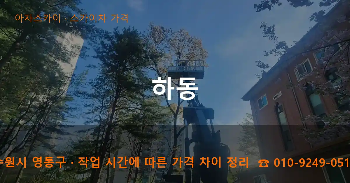 수원시 영통구 하동 스카이차 가격 작업