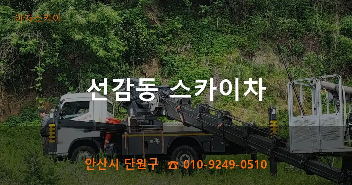 안산시 단원구 선감동 스카이차