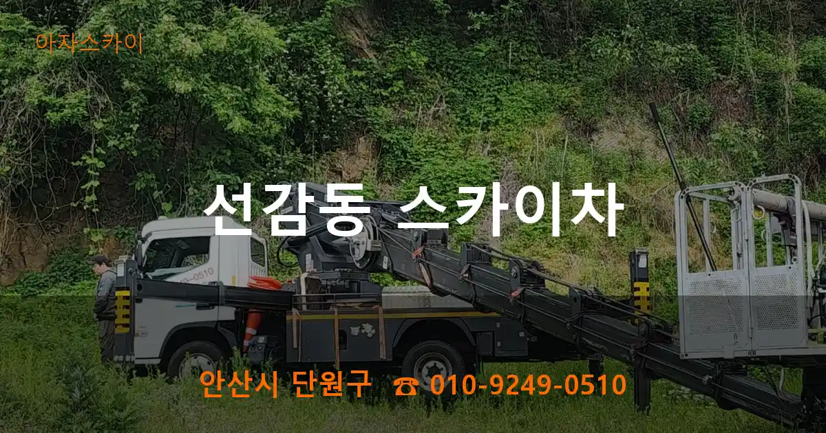 안산시 단원구 선감동 스카이차
