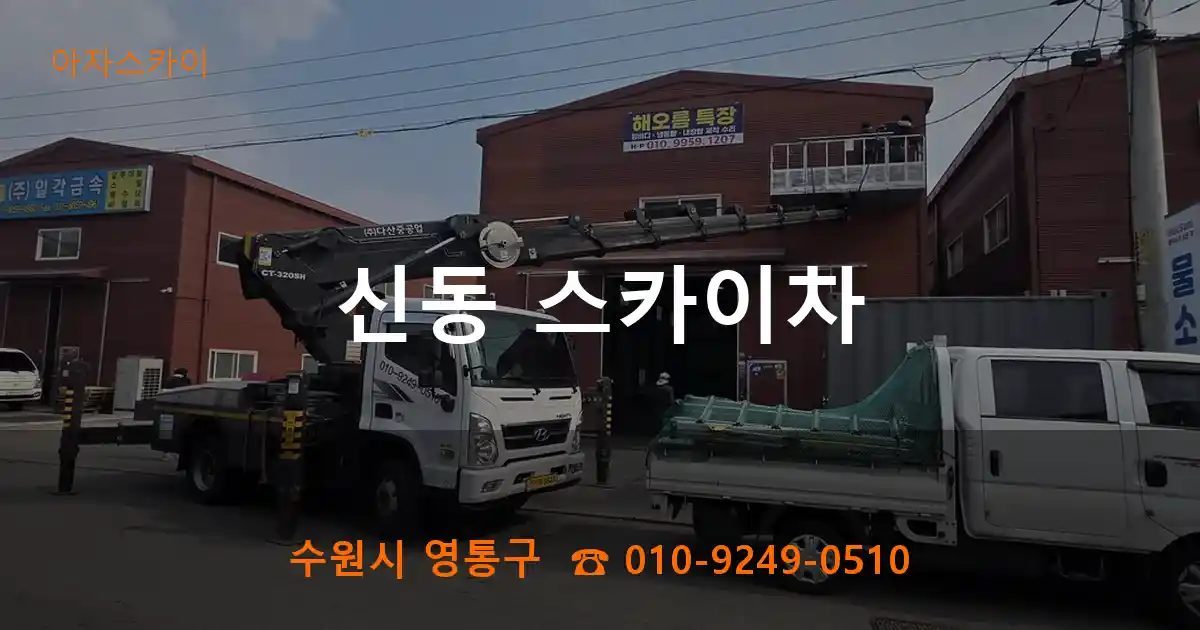 수원시 영통구 신동 스카이차