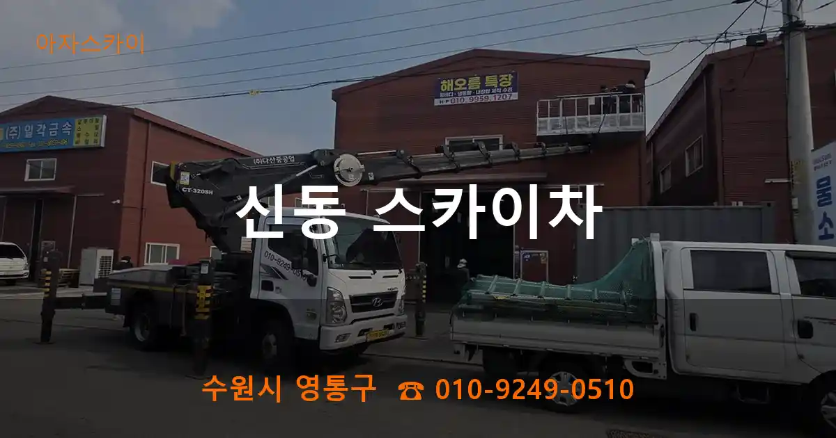 수원시 영통구 신동 스카이차