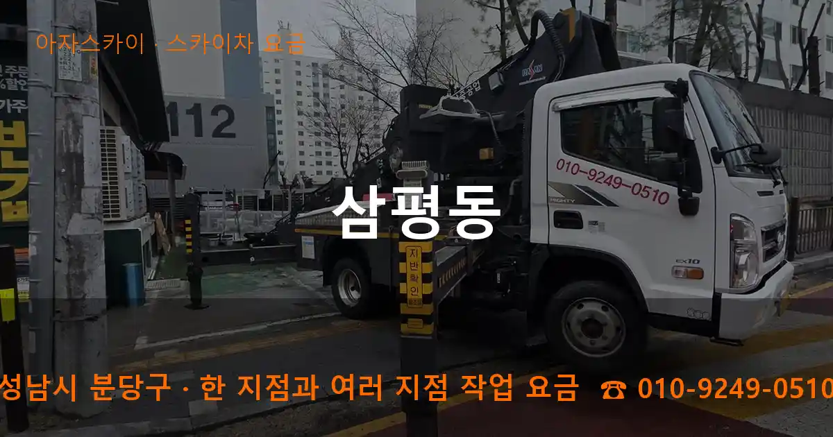 성남시 분당구 삼평동 스카이차 요금 작업