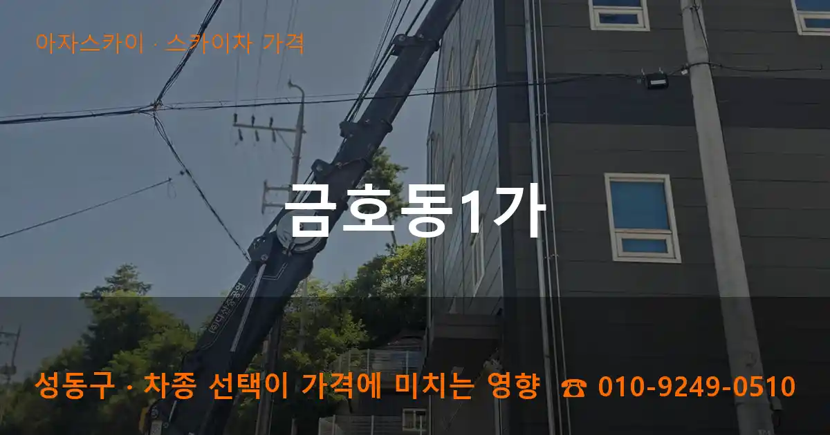 성동구 금호동1가 스카이차 가격 작업