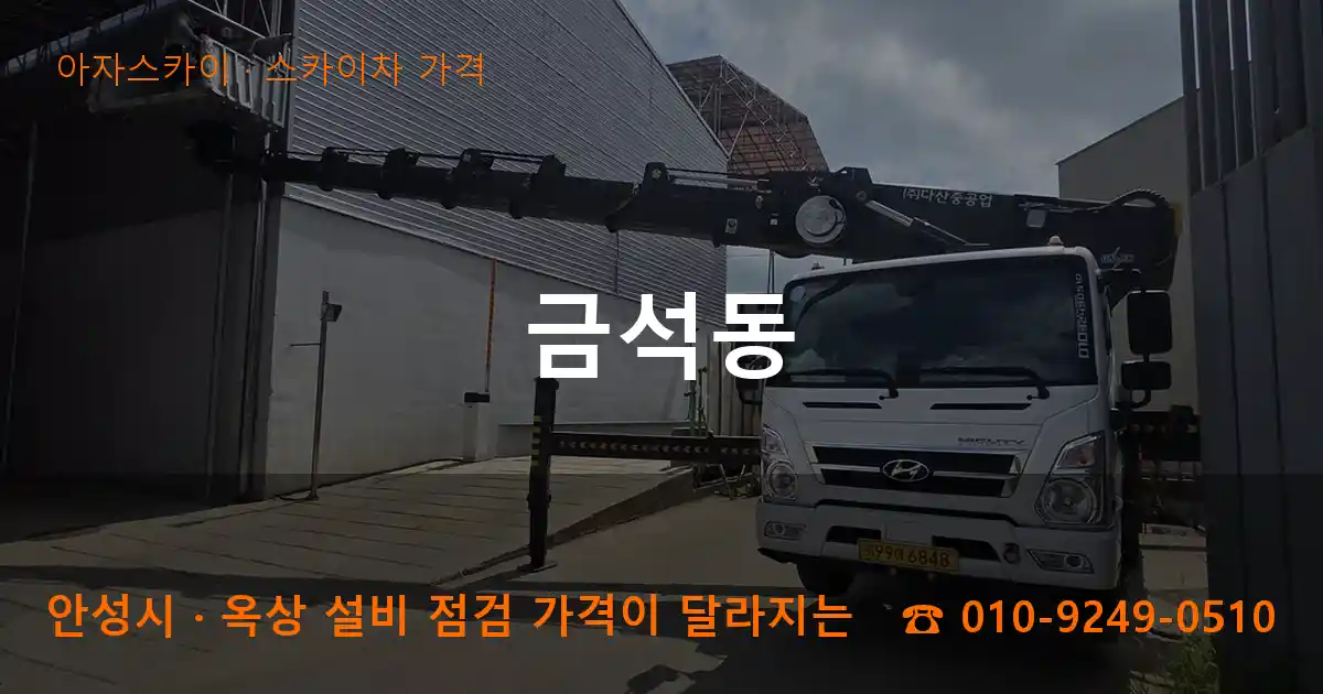 안성시 금석동 스카이차 가격 작업
