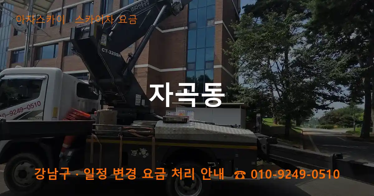강남구 자곡동 스카이차 요금 작업