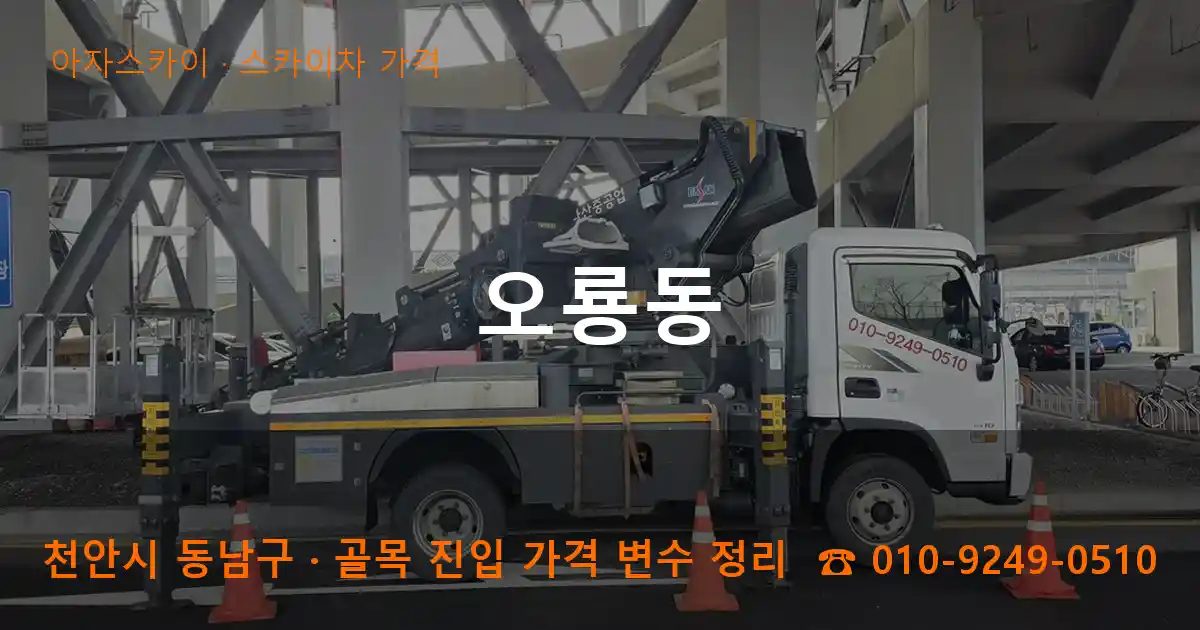 천안시 동남구 오룡동 스카이차 가격 작업