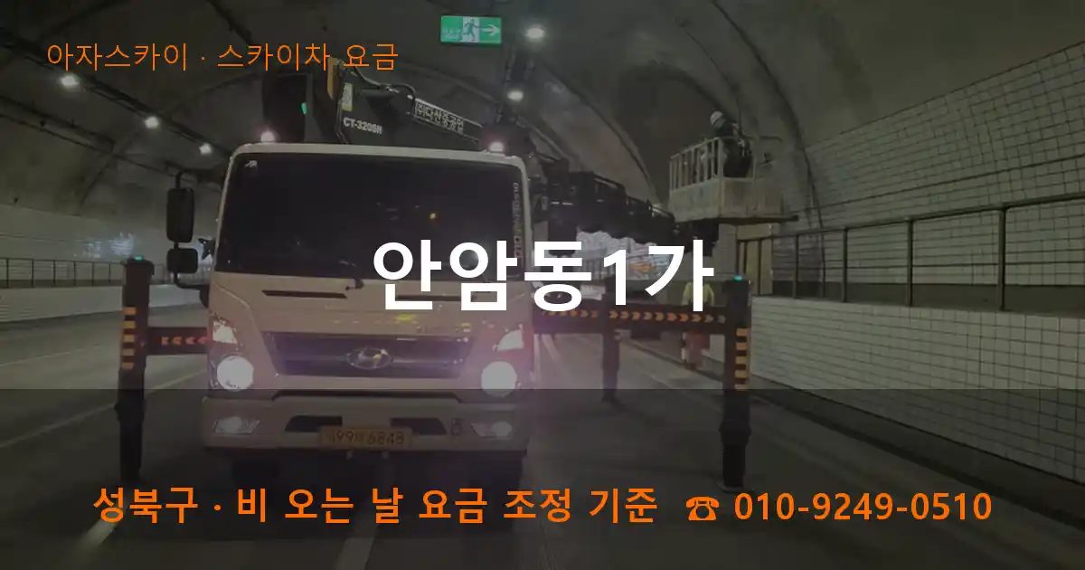 성북구 안암동1가 스카이차 요금 작업