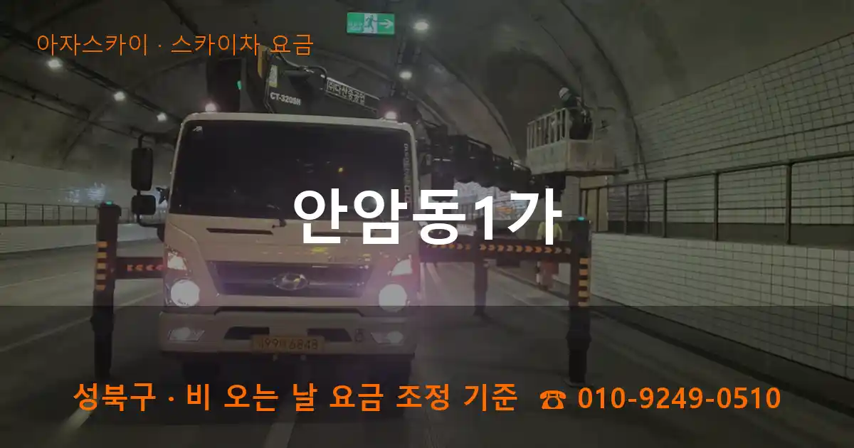 성북구 안암동1가 스카이차 요금 작업
