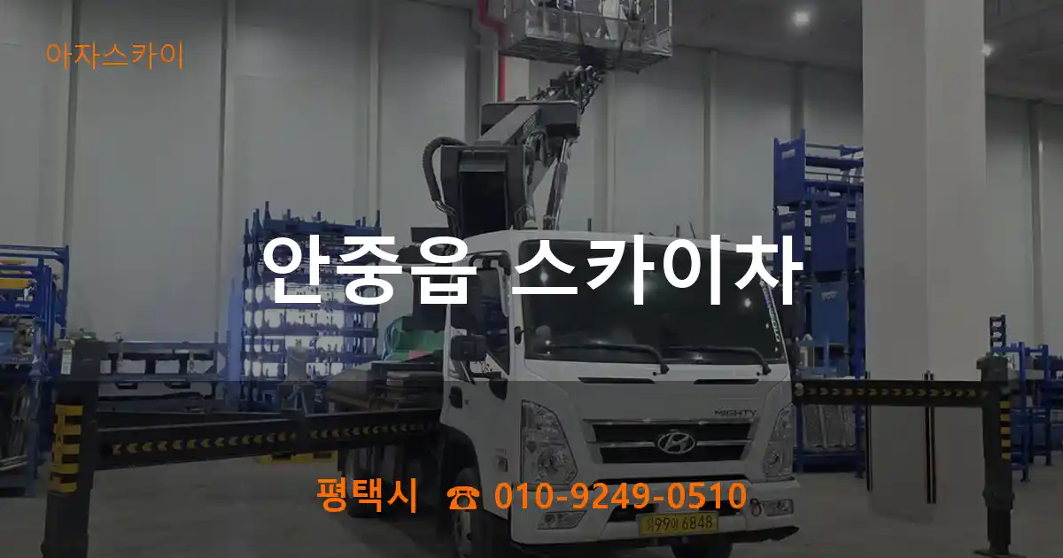 평택시 안중읍 스카이차