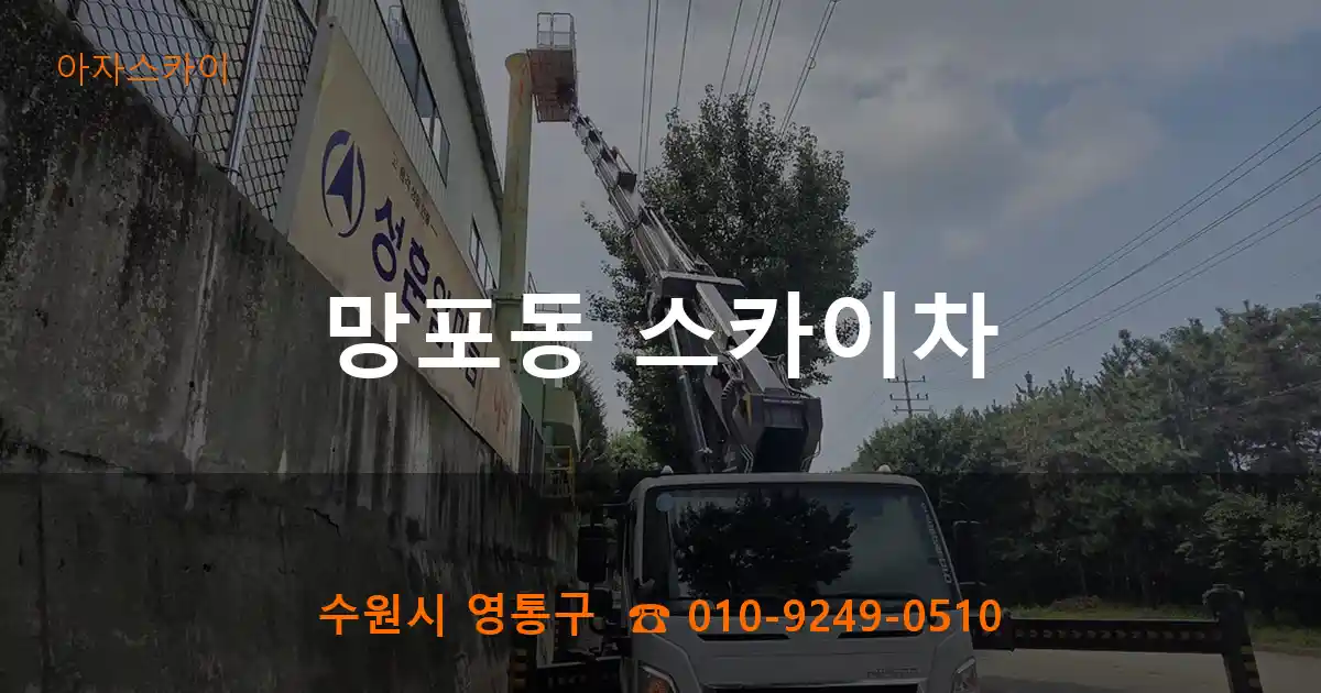 수원시 영통구 망포동 스카이차