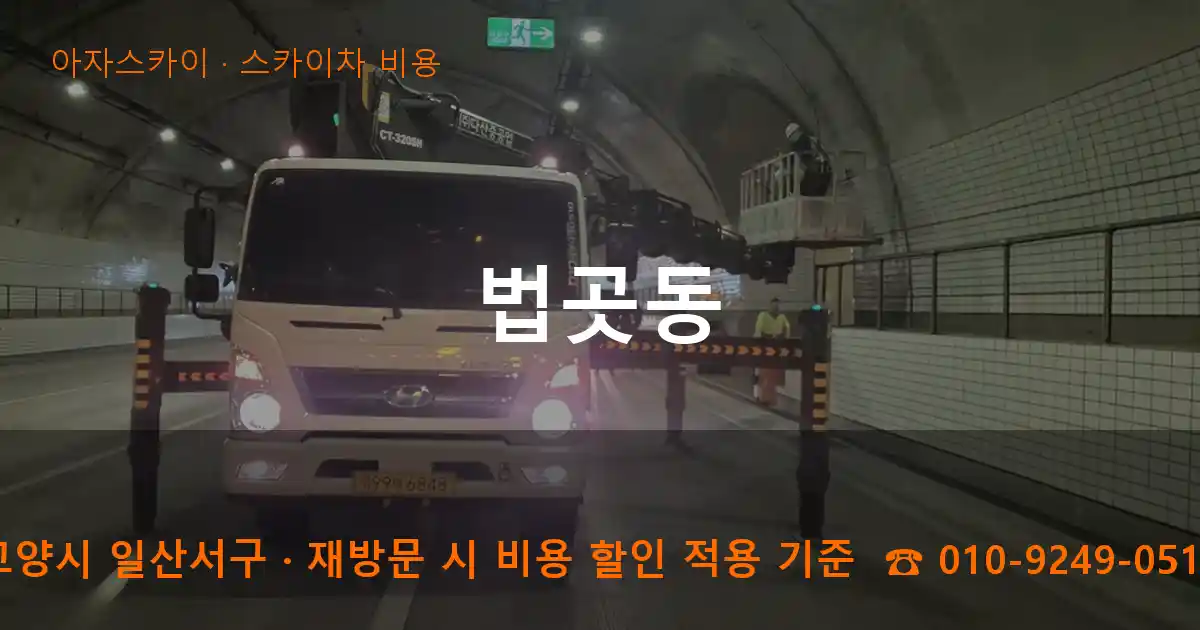 고양시 일산서구 법곳동 스카이차 비용 작업