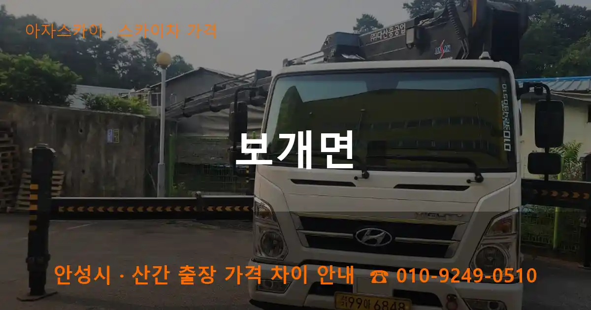 안성 보개면 스카이차 가격 작업
