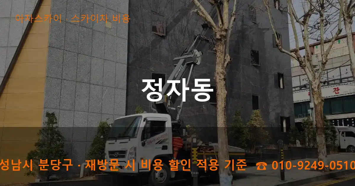 성남시 분당구 정자동 스카이차 비용 작업