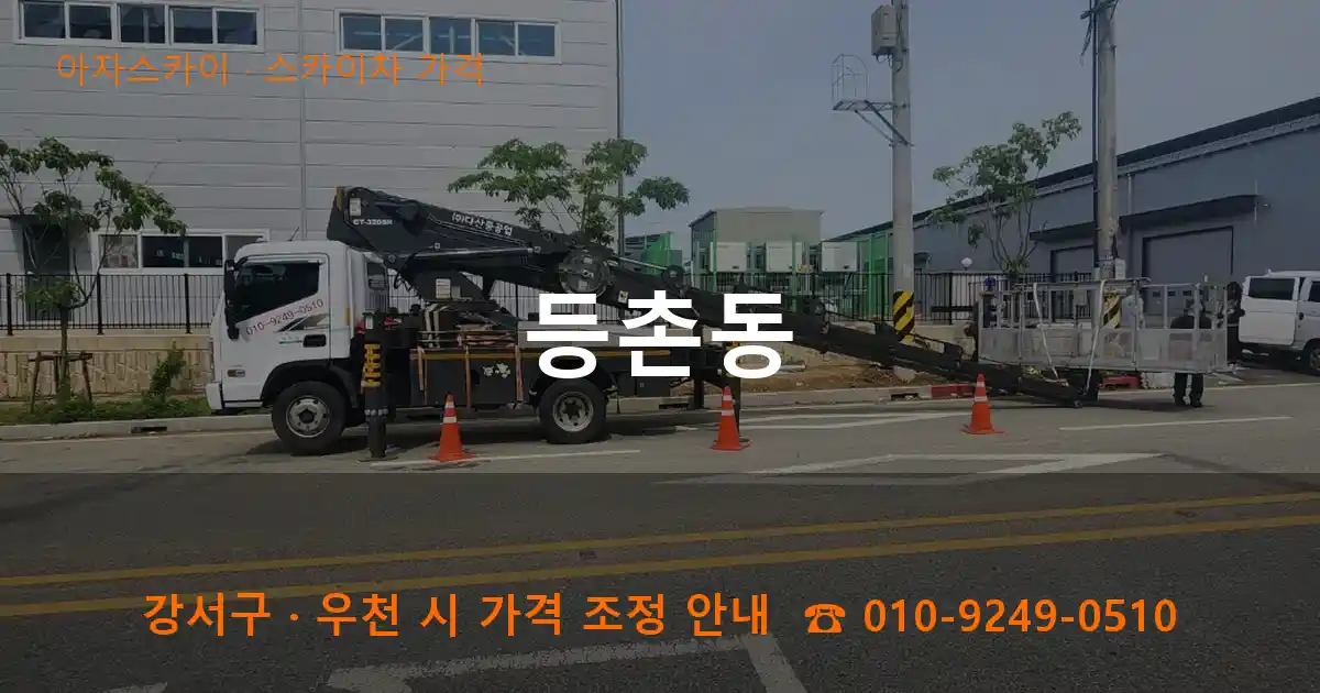 강서구 등촌동 스카이차 가격 작업