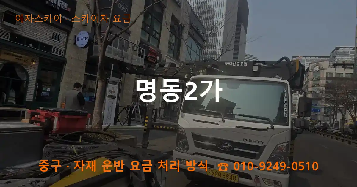중구 명동2가 스카이차 요금 작업