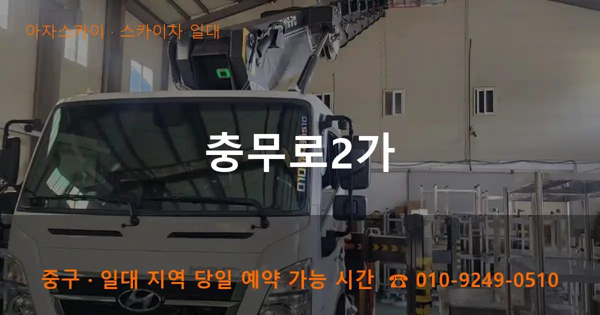 중구 충무로2가 스카이차 출장 작업