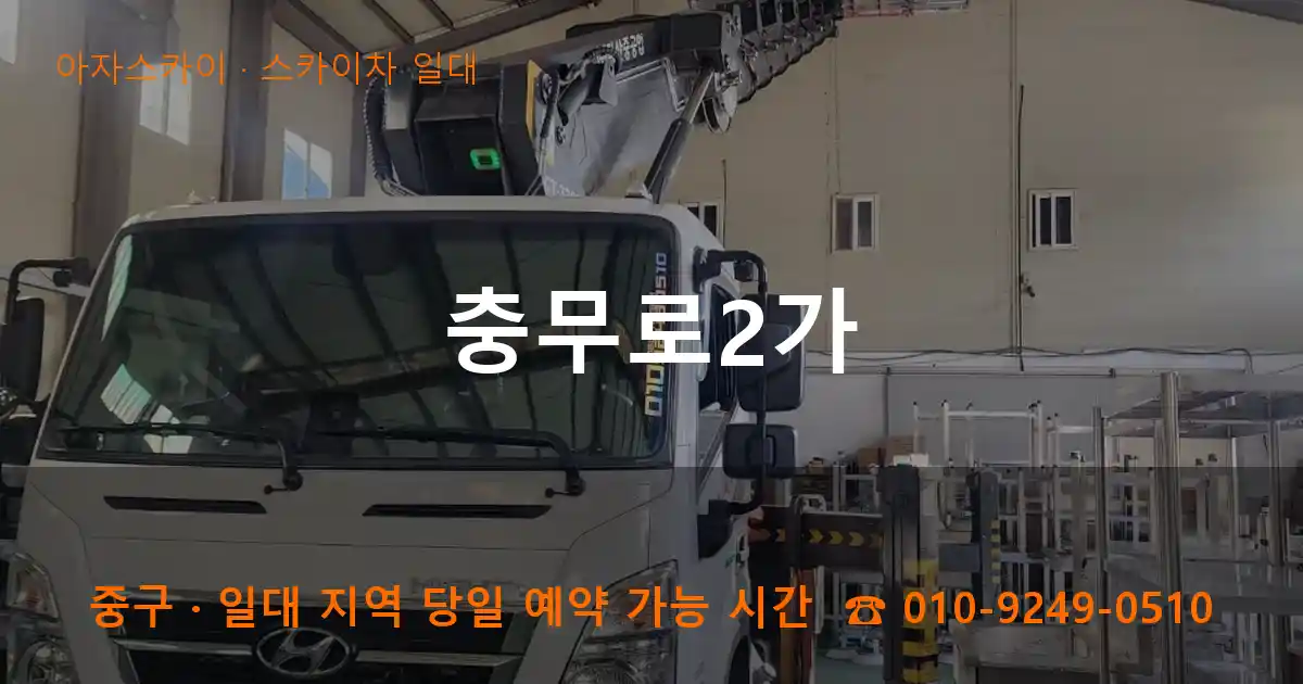 중구 충무로2가 스카이차 일대 작업