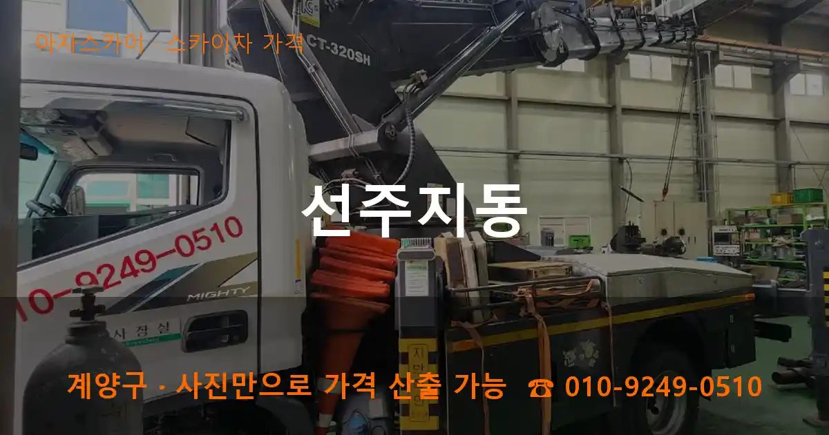 계양구 선주지동 스카이차 가격 작업