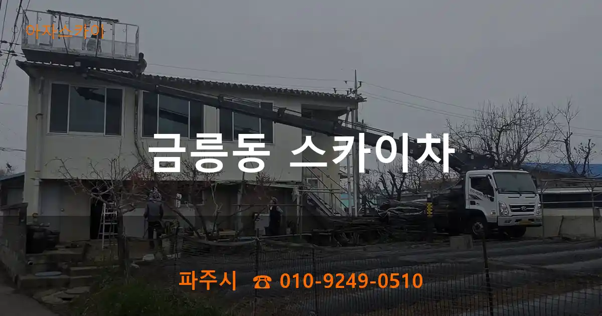 파주시 금릉동 스카이차