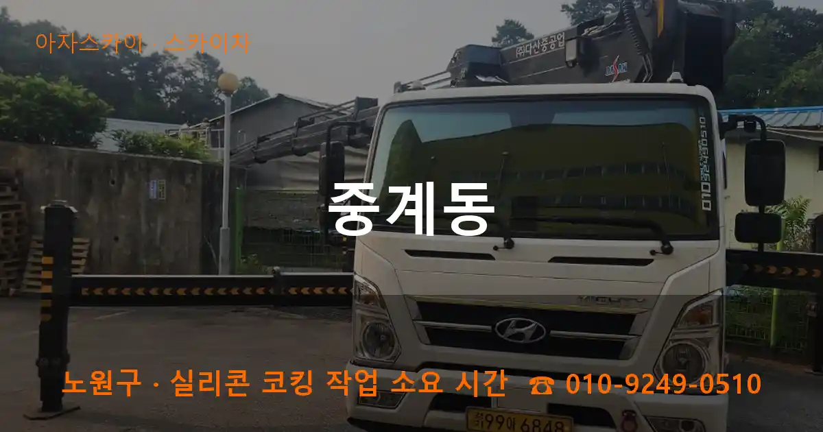 노원구 중계동 스카이차 작업