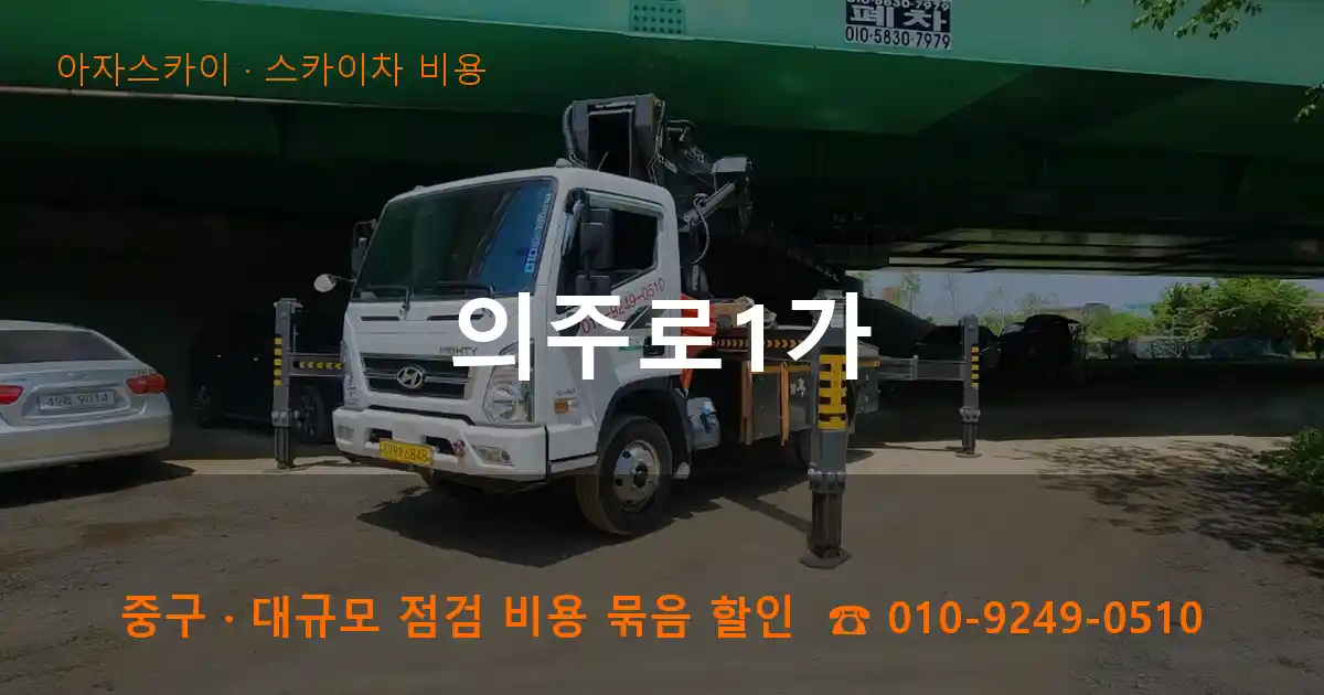 중구 의주로1가 스카이차 비용 작업