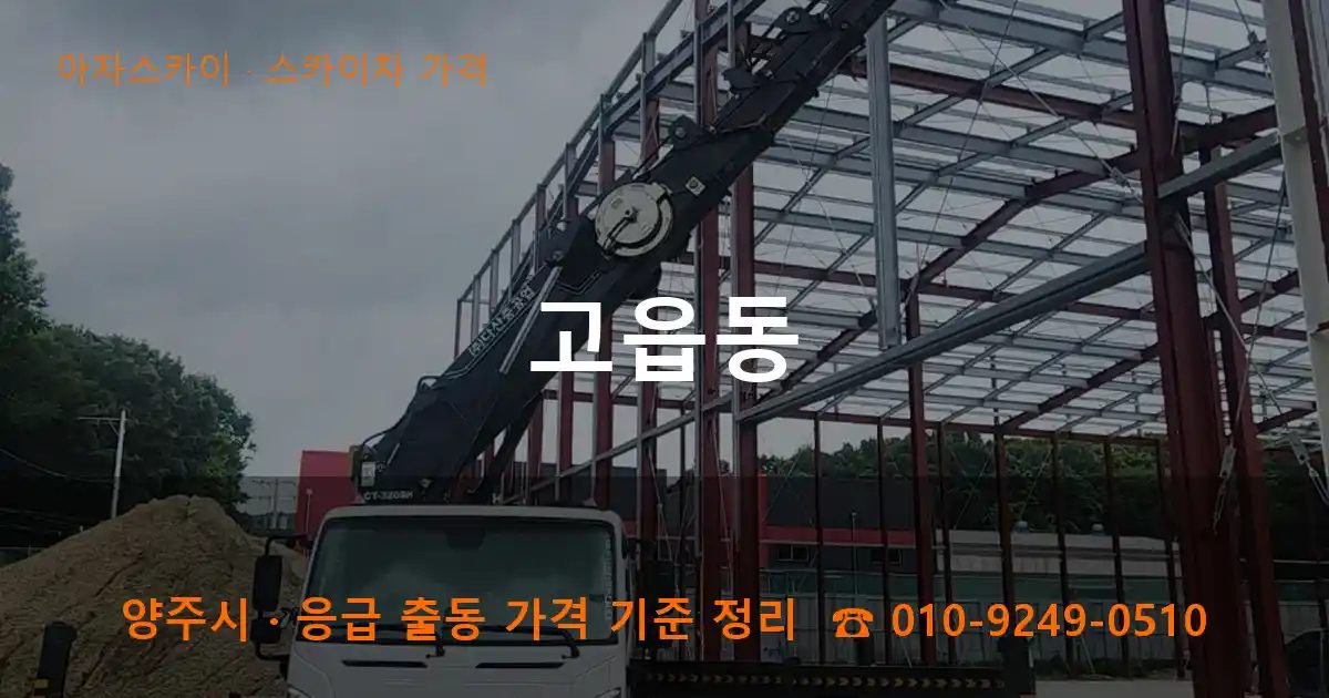 양주시 고읍동 스카이차 가격 작업