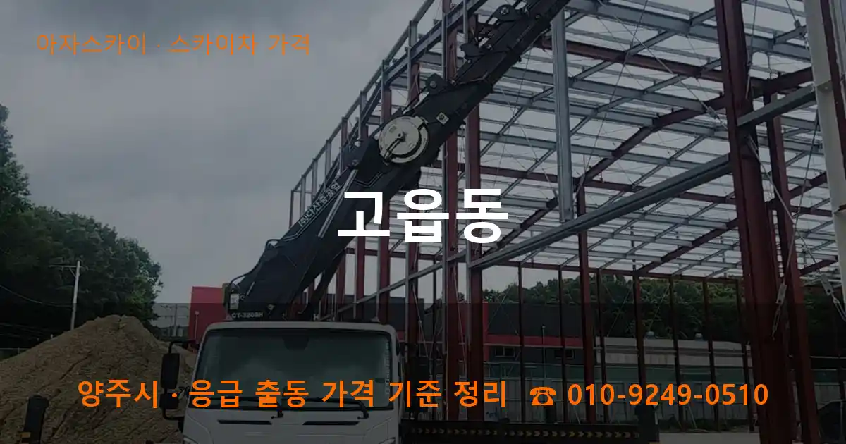 양주 고읍동 스카이차 가격 작업