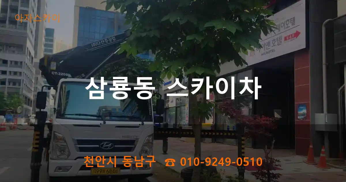 천안시 동남구 삼룡동 스카이차