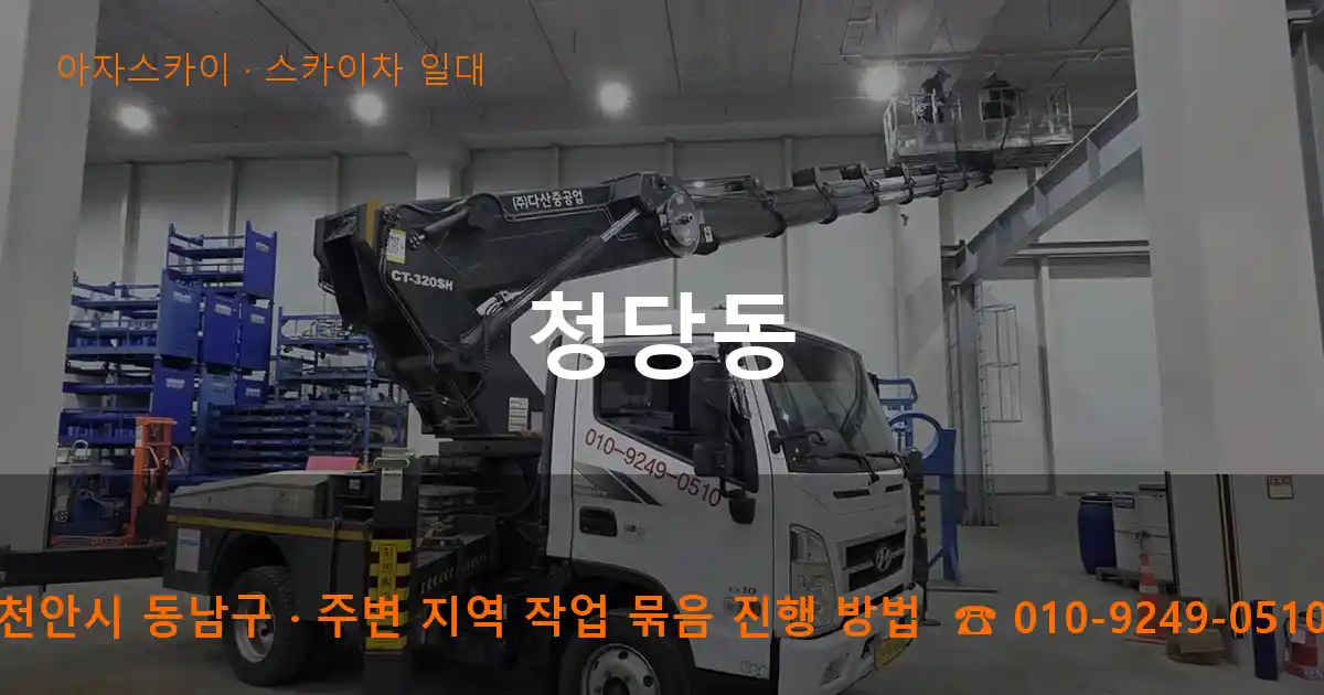 천안시 동남구 청당동 스카이차 일대 작업