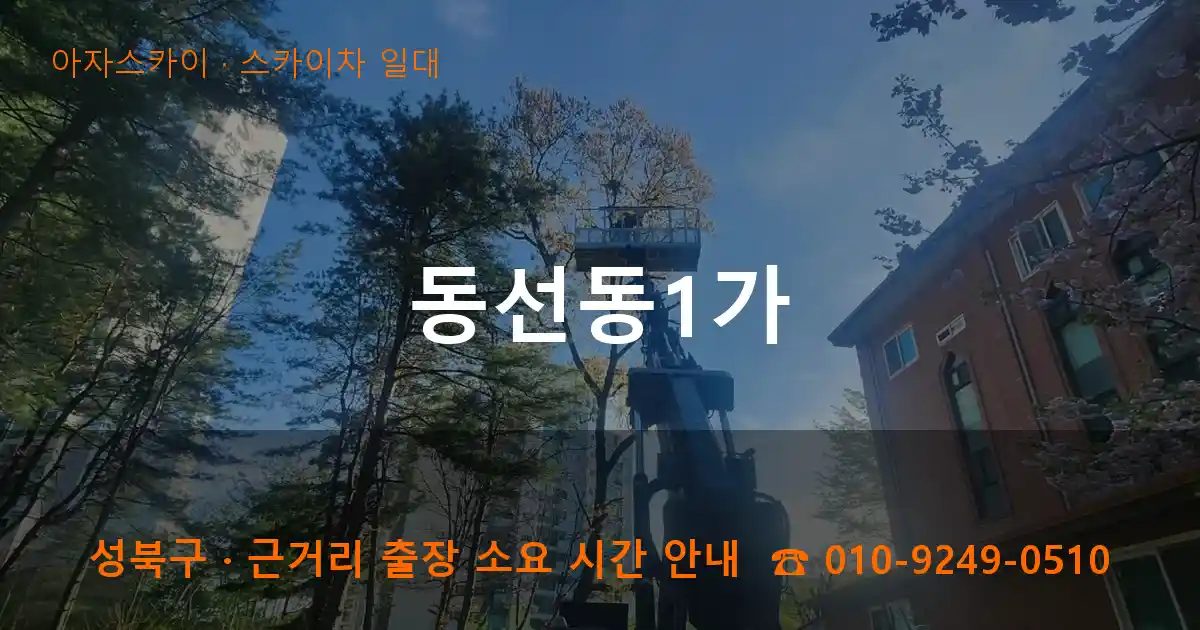 성북구 동선동1가 스카이차 출장 작업