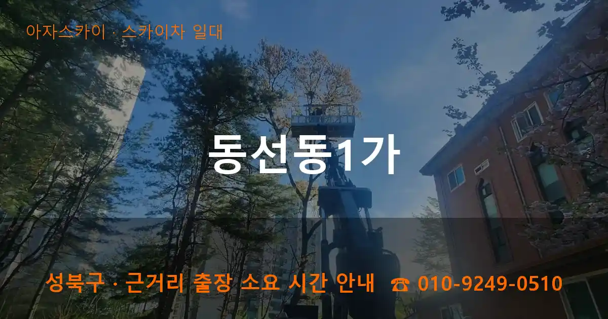 성북구 동선동1가 스카이차 일대 작업