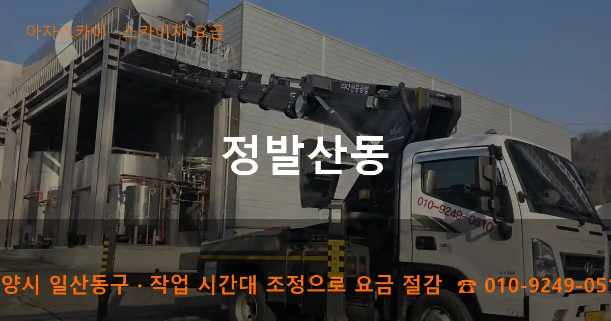 고양시 일산동구 정발산동 스카이차 요금 작업