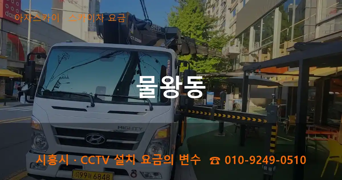 시흥시 물왕동 스카이차 요금 작업