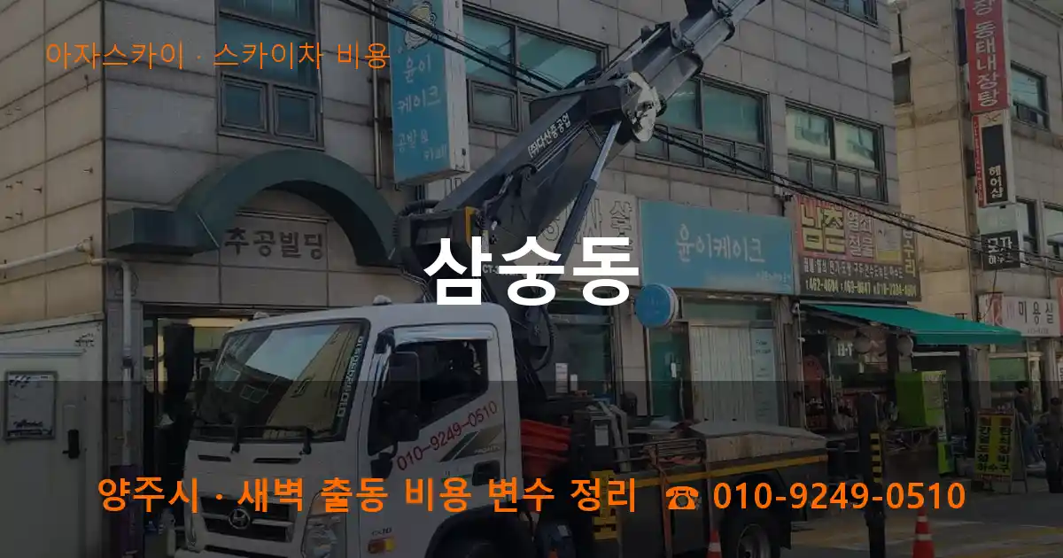 양주 삼숭동 스카이차 비용 작업