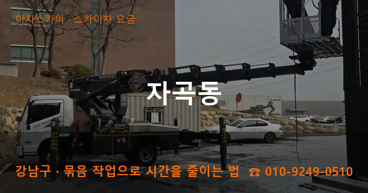 강남구 자곡동 스카이차 요금 작업