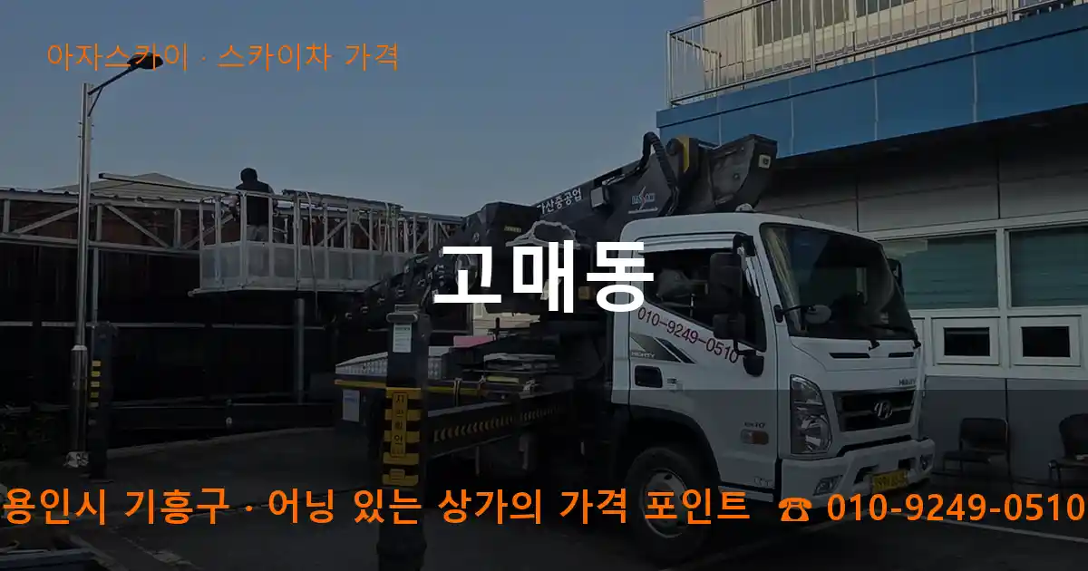 용인시 기흥구 고매동 스카이차 가격 작업