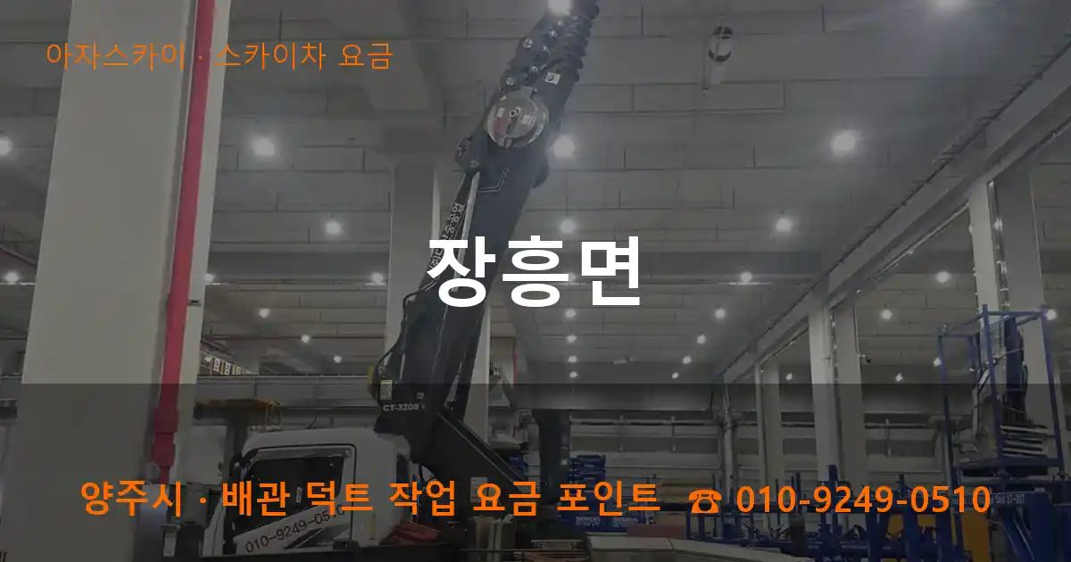 양주시 장흥면 스카이차 요금 작업