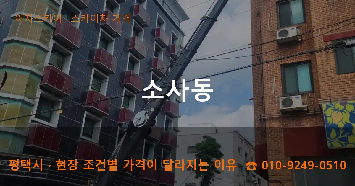 평택시 소사동 스카이차 가격 작업