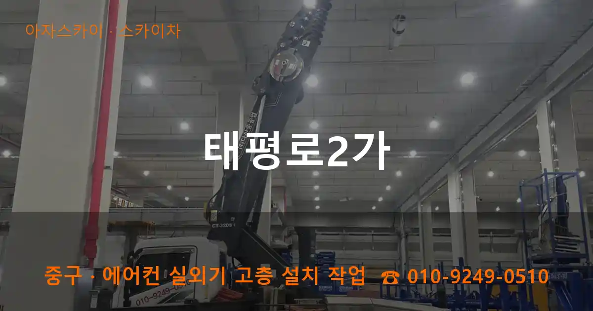 중구 태평로2가 스카이차 작업