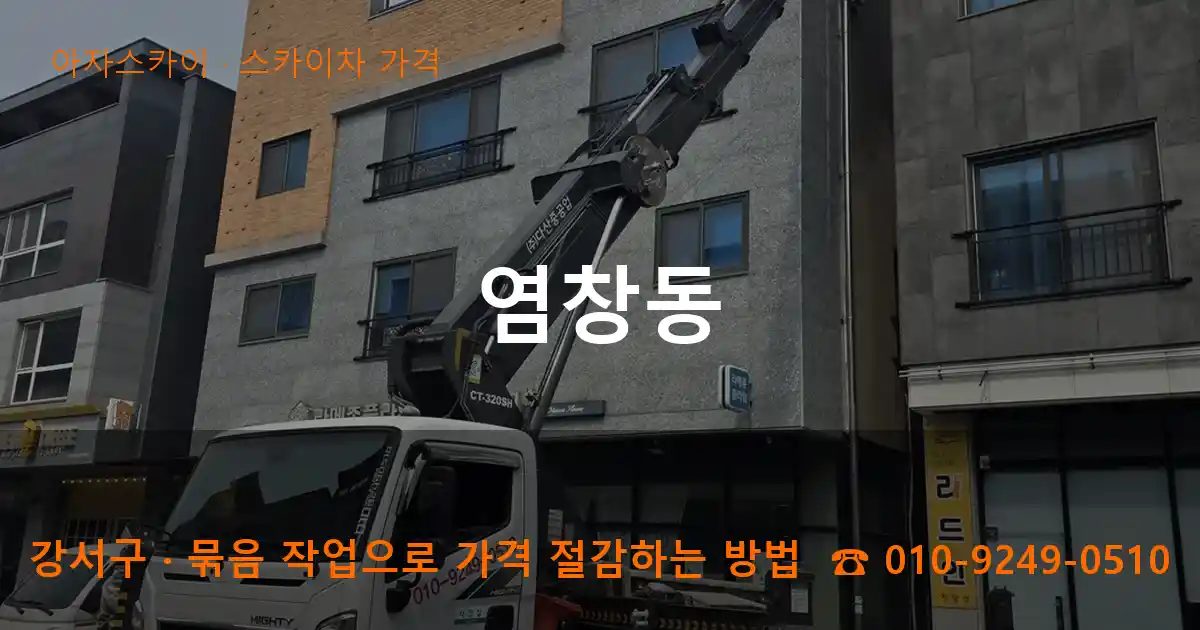 강서구 염창동 스카이차 가격 작업